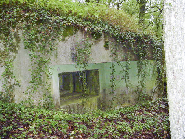 Ligne Maginot - M67B - BOIS DE BRILL 2 - (Blockhaus pour arme infanterie) - L'un des créneau  - BERTHIER jean