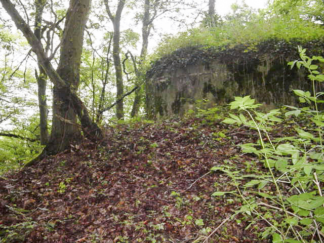 Ligne Maginot - M67B - BOIS DE BRILL 2 - (Blockhaus pour arme infanterie) - On aperçoit la lisière du bois de Brill - BERTHIER jean