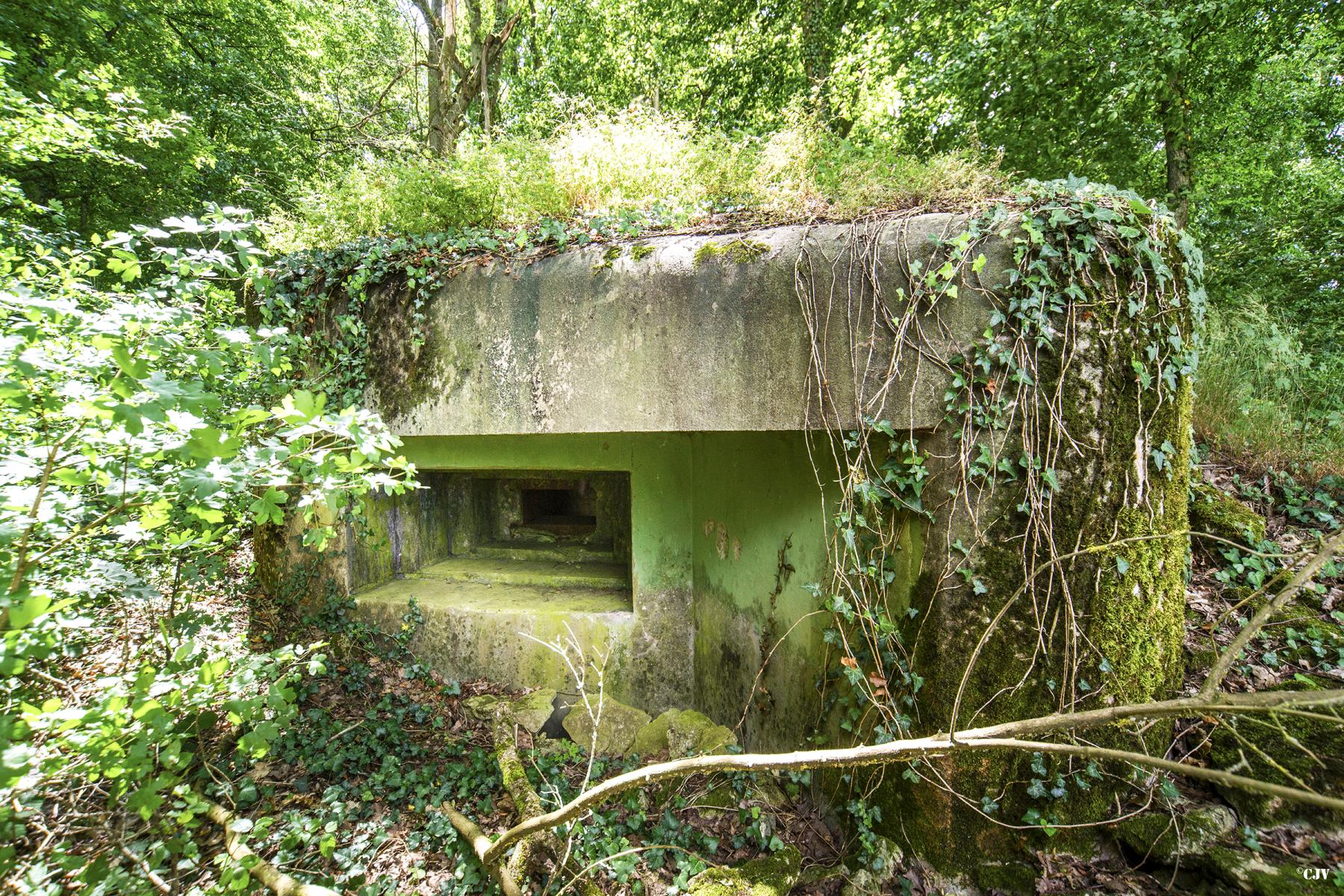 Ligne Maginot - M67B - BOIS DE BRILL 2 - (Blockhaus pour arme infanterie) -  - Lia VERMEULEN