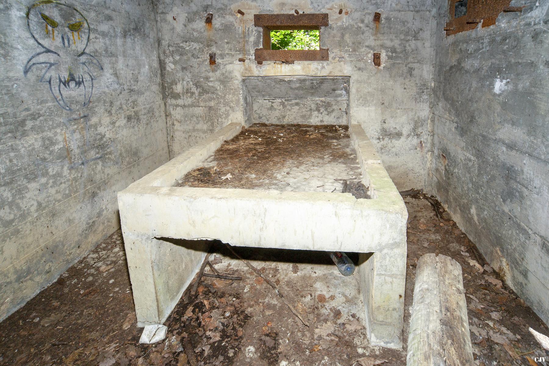 Ligne Maginot - M67B - BOIS DE BRILL 2 - (Blockhaus pour arme infanterie) -  - Lia VERMEULEN