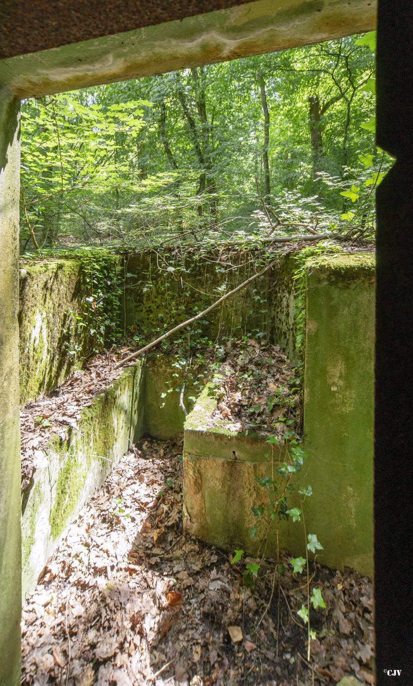 Ligne Maginot - M67B - BOIS DE BRILL 2 - (Blockhaus pour arme infanterie) - Le parapet - Lia VERMEULEN