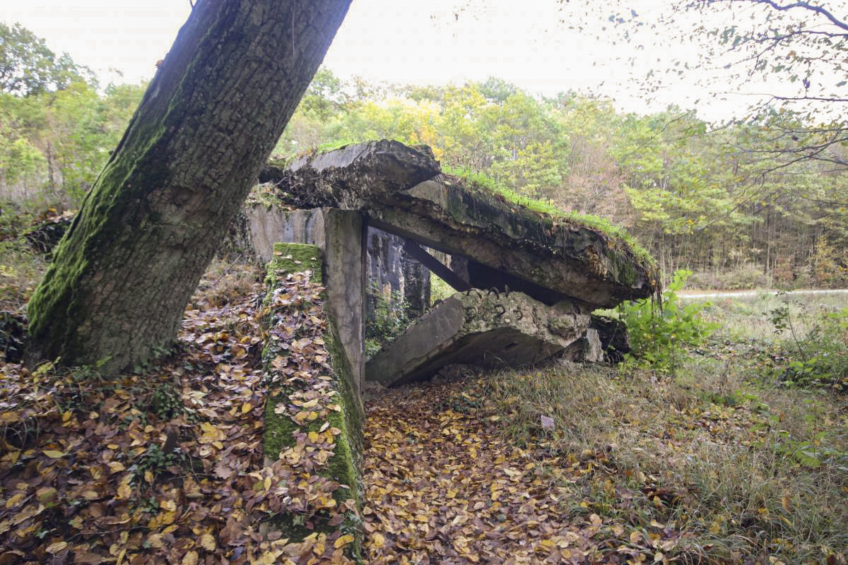 Ligne Maginot - MARIENTHAL 1 (AVANT POSTE) - (Blockhaus pour canon) -  - Michel & Philippe ZIMMER