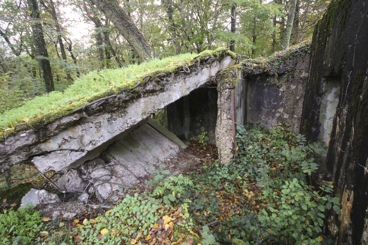 Ligne Maginot - MARIENTHAL 1 (AVANT POSTE) - (Blockhaus pour canon) -  - Michel & Philippe ZIMMER