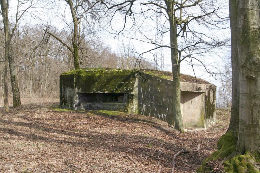 Ligne Maginot - MARIENTHAL 2 (AVANT POSTE) - (Blockhaus pour arme infanterie) - Vue d'ensemble - BACH Thierry