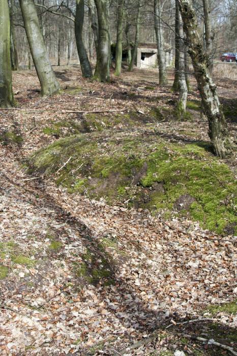 Ligne Maginot - MARIENTHAL 2 (AVANT POSTE) - (Blockhaus pour arme infanterie) - Vue d'ensemble
Avec la tranchée reliant les deux blocs - BACH Thierry
