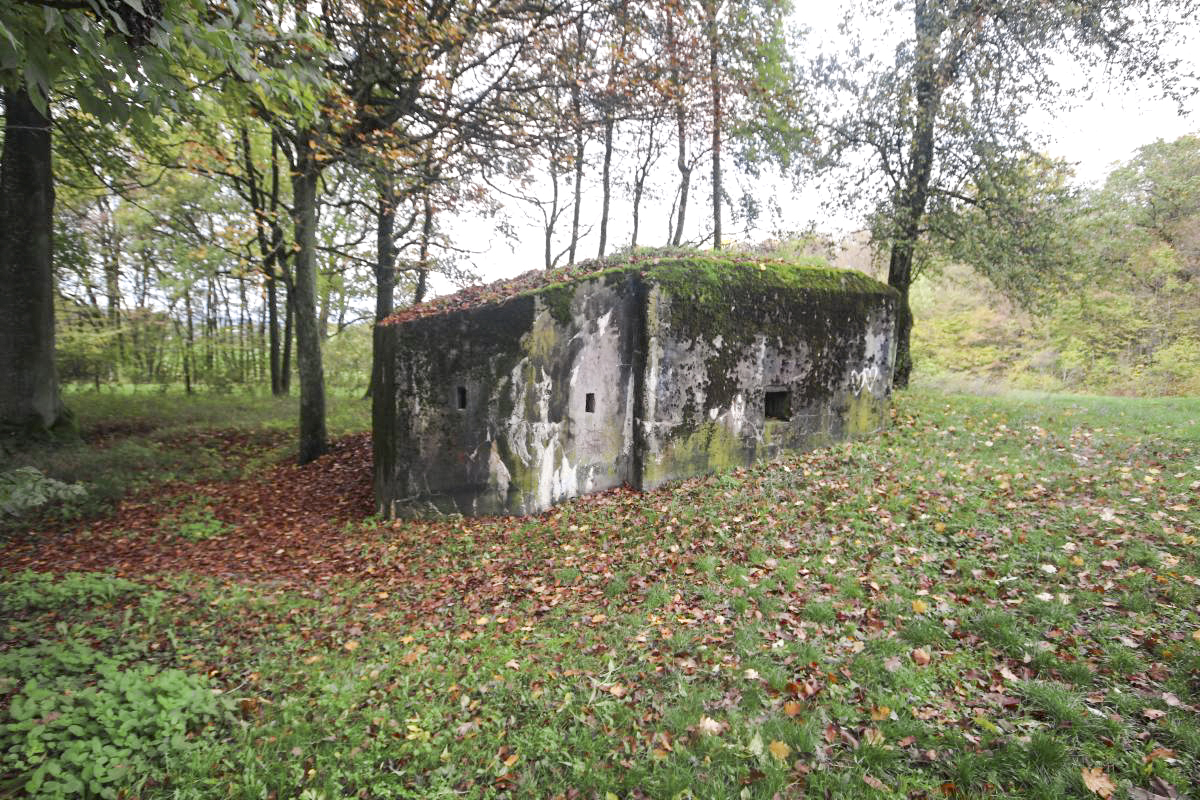 Ligne Maginot - MARIENTHAL 2 (AVANT POSTE) - (Blockhaus pour arme infanterie) -            - Michel et Philippe Zimmer