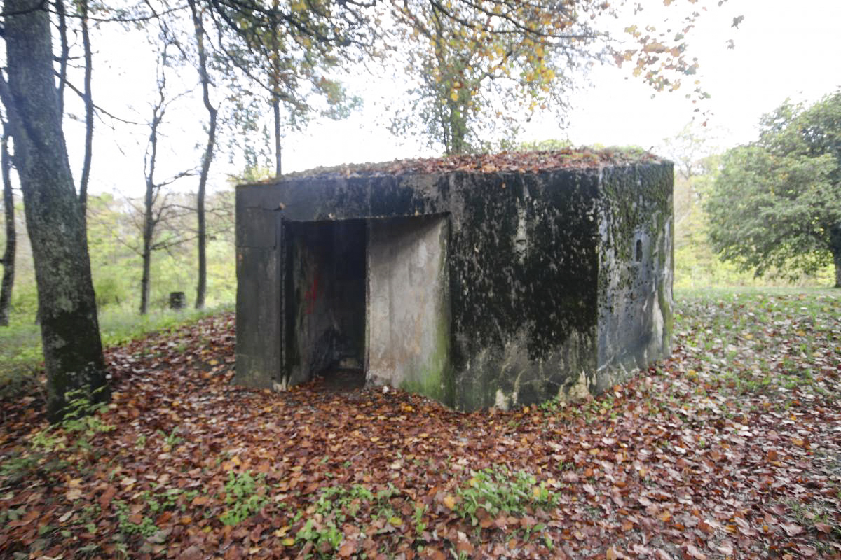 Ligne Maginot - MARIENTHAL 2 (AVANT POSTE) - (Blockhaus pour arme infanterie) -             - Michel et Philippe Zimmer