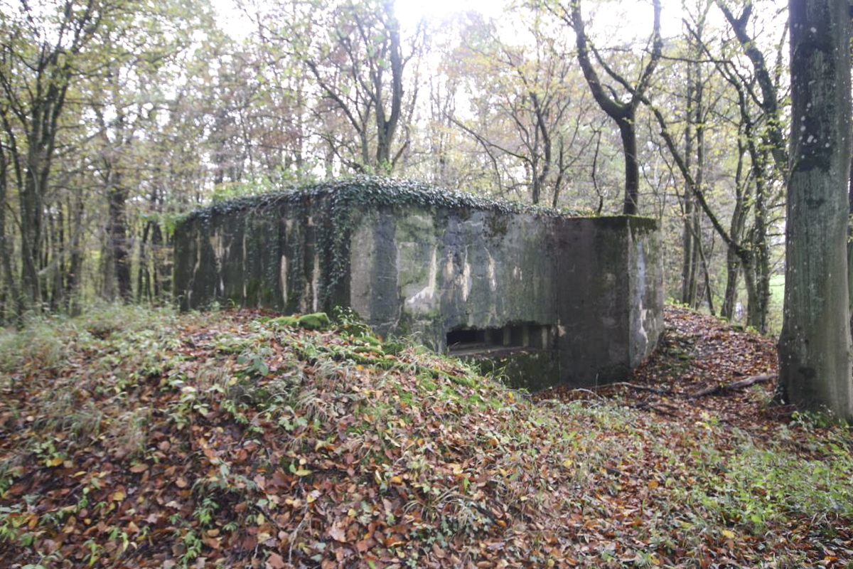 Ligne Maginot - MARIENTHAL 3 (AVANT POSTE) - (Blockhaus pour canon) -         - Michel et Philippe Zimmer