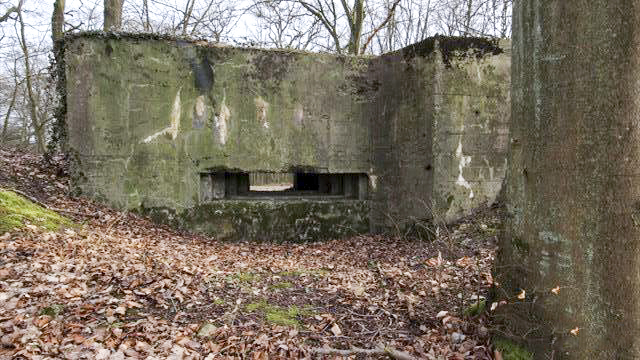 Ligne Maginot - MARIENTHAL 3 (AVANT POSTE) - (Blockhaus pour canon) -  - Michel & Philippe ZIMMER