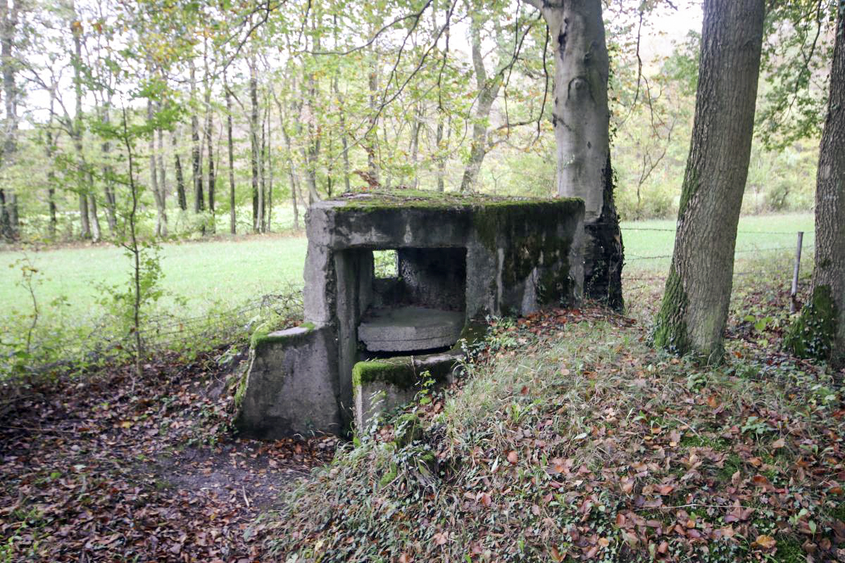 Ligne Maginot - MARIENTHAL 4 (AVANT POSTE) - (Blockhaus pour arme infanterie) -               - Michel et Philippe Zimmer
