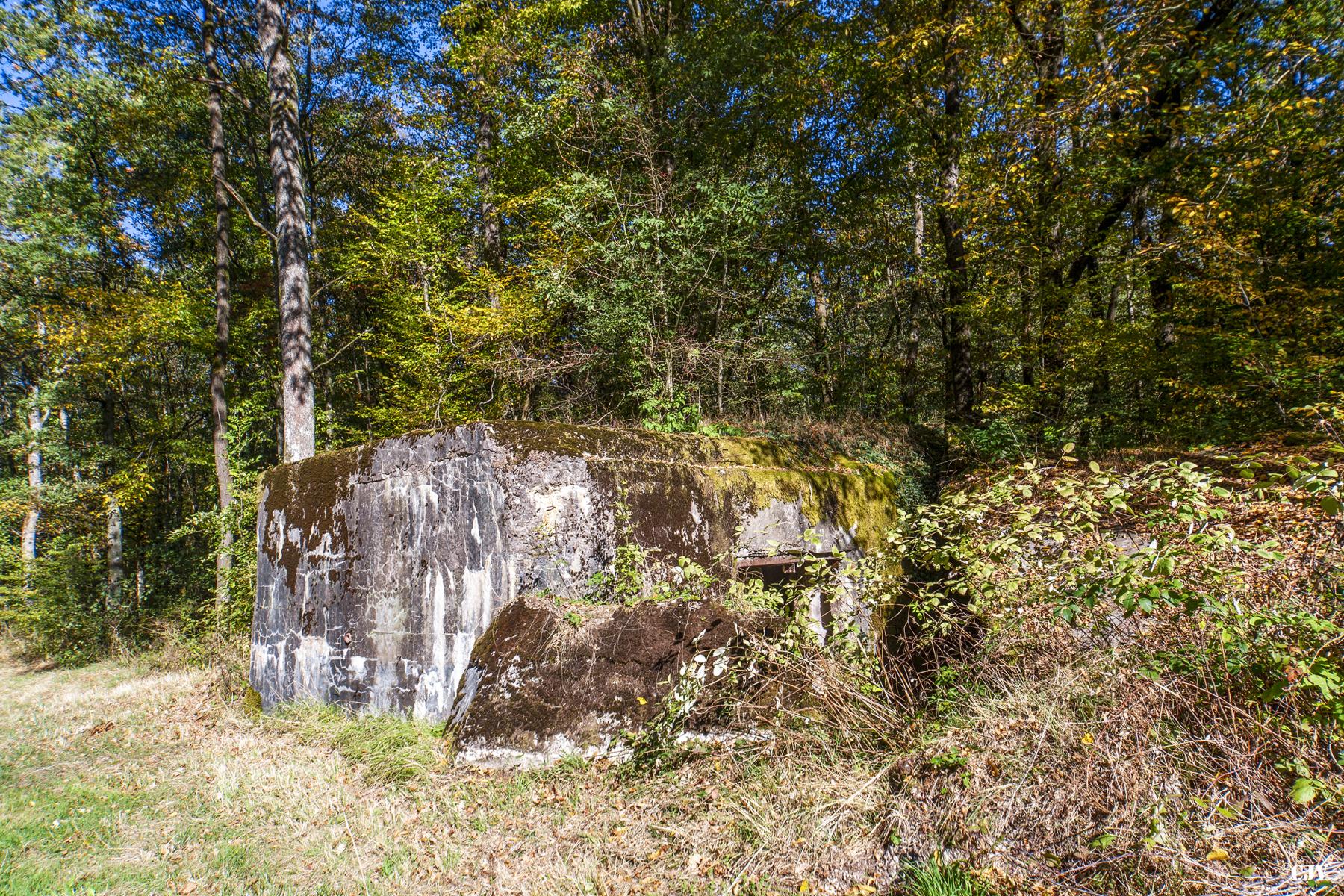 Ligne Maginot - MC1B - HENRIVILLE 3 (AVANT POSTE) - (Blockhaus pour canon) -  - Lia VERMEULEN
