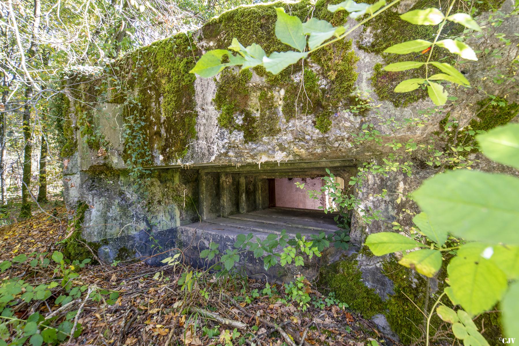 Ligne Maginot - MC1B - HENRIVILLE 3 (AVANT POSTE) - (Blockhaus pour canon) -  - Lia VERMEULEN