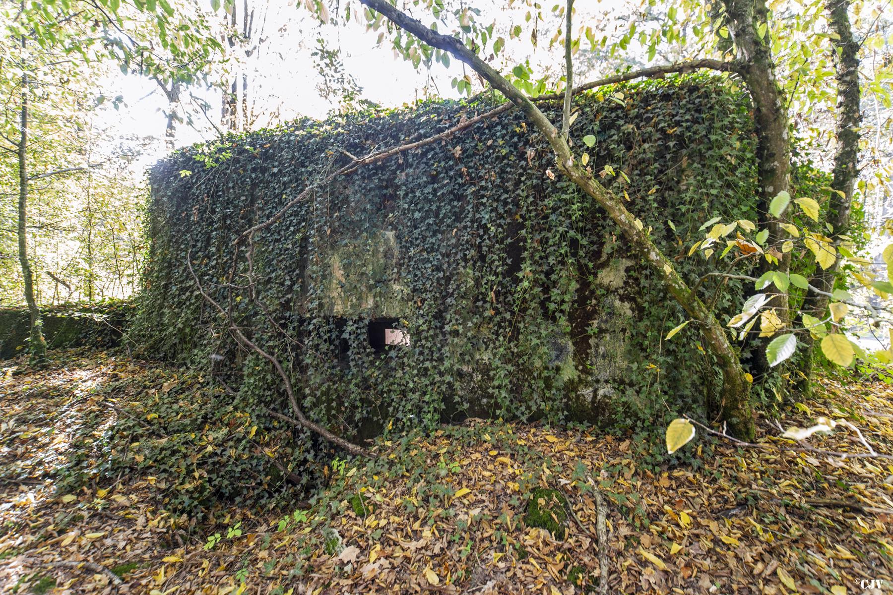 Ligne Maginot - MC1B - HENRIVILLE 3 (AVANT POSTE) - (Blockhaus pour canon) -  - Lia VERMEULEN