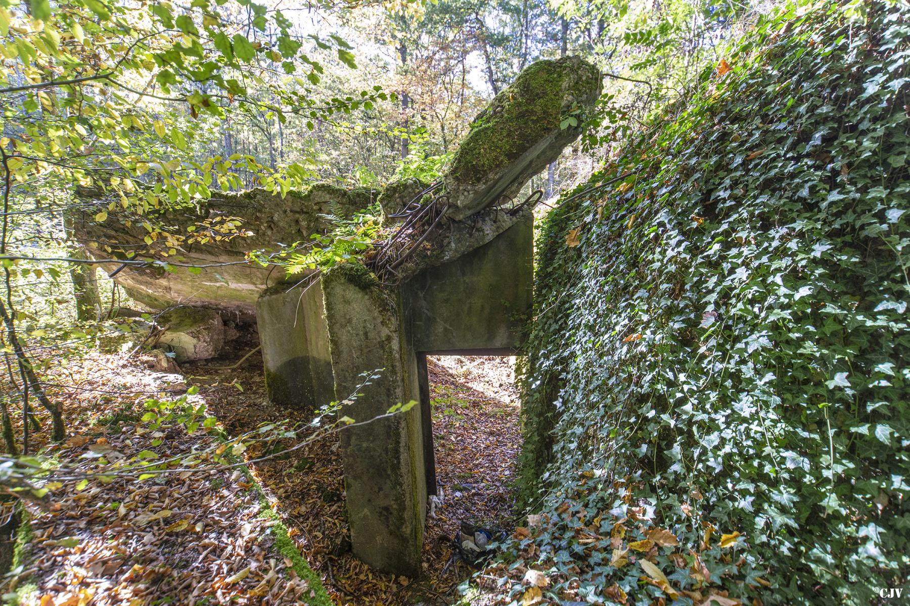 Ligne Maginot - MC1B - HENRIVILLE 3 (AVANT POSTE) - (Blockhaus pour canon) -  - Lia VERMEULEN