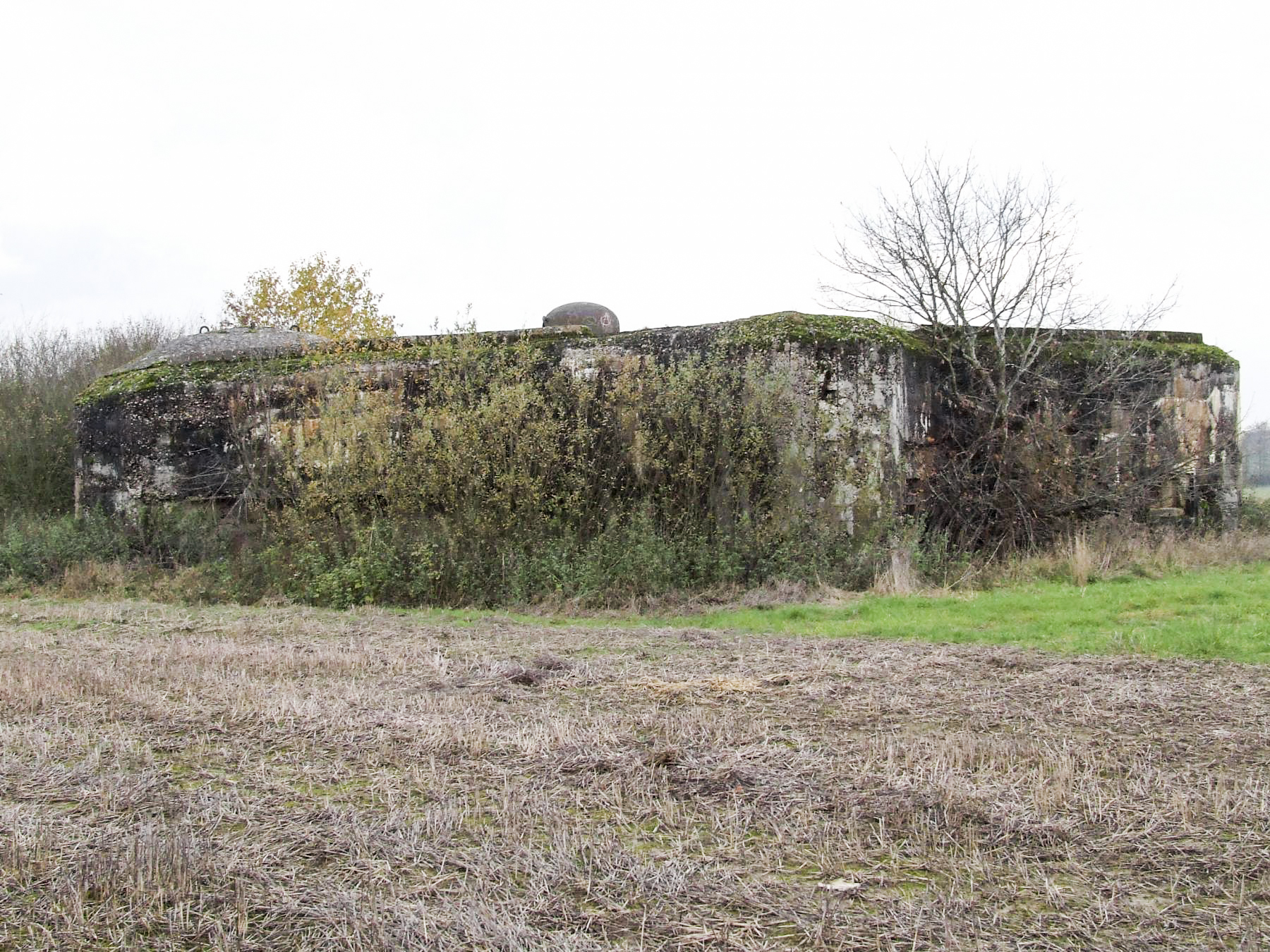 Ligne Maginot - MC07 - STG R - (Casemate d'infanterie - Double) - La façade de tir vers la gauche. - STENGER Mathieu