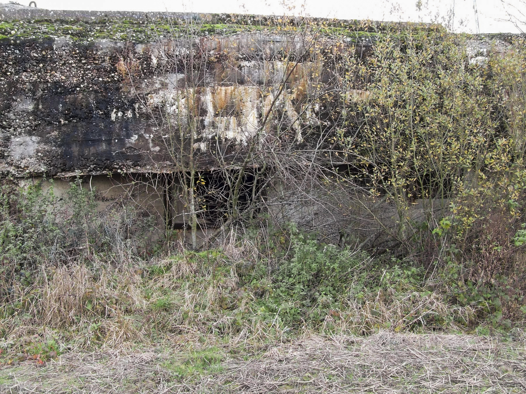 Ligne Maginot - MC07 - STG R - (Casemate d'infanterie - Double) - La façade de tir vers la gauche. - STENGER Mathieu