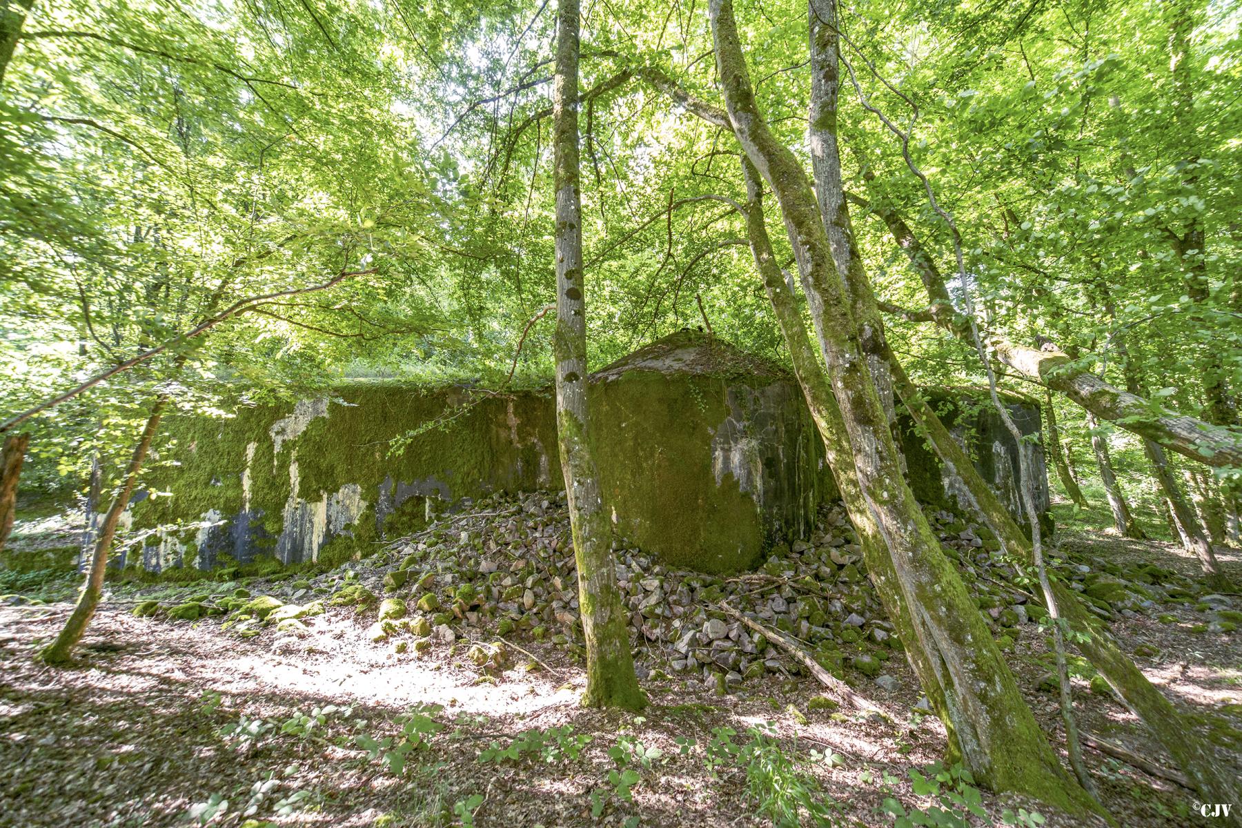 Ligne Maginot - MC08 - STG P - (Blockhaus pour canon) -  - Lia VERMEULEN