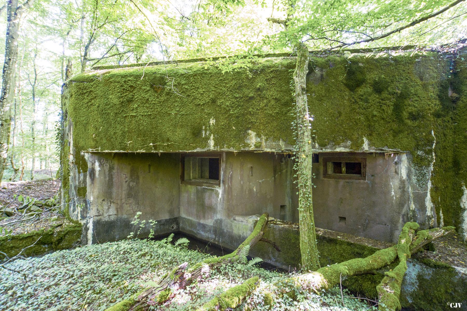 Ligne Maginot - MC08 - STG P - (Blockhaus pour canon) -  - Lia VERMEULEN