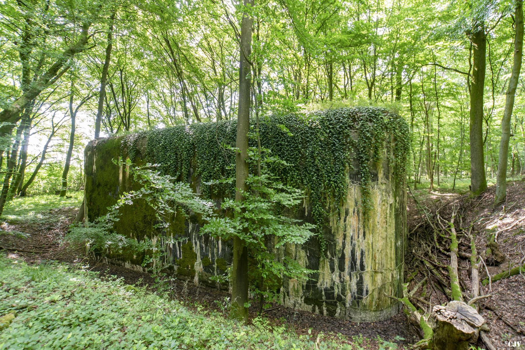 Ligne Maginot - MC09 - MC17B - (Blockhaus pour canon) -  - Lia VERMEULEN
