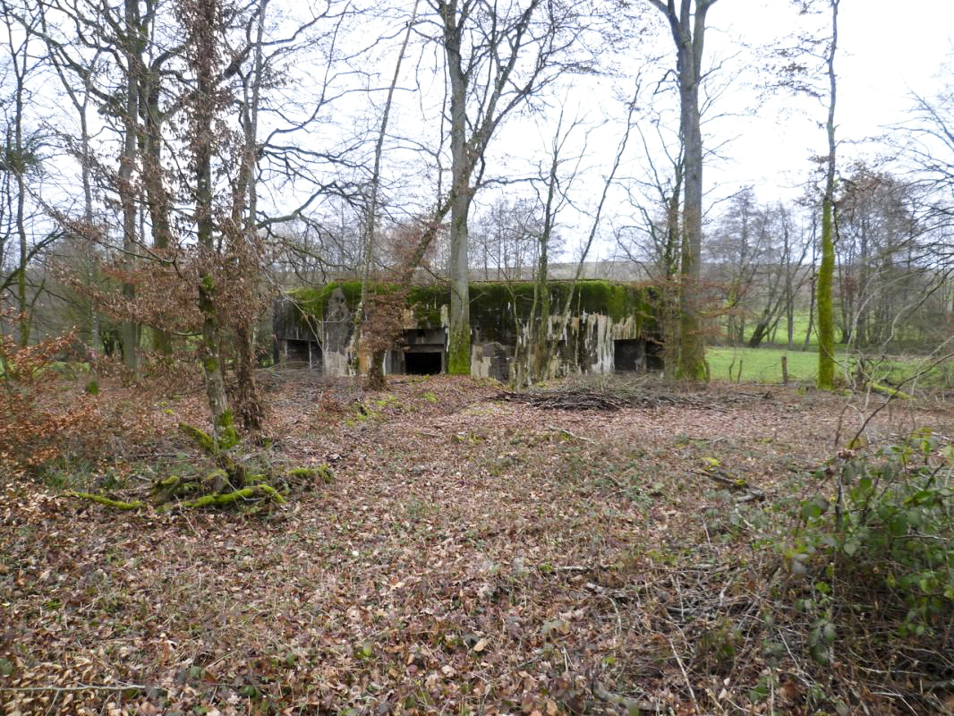 Ligne Maginot - STG 14 - MC15B - MC10 - (Casemate d'infanterie - double) - Entrée du matériel - AsH