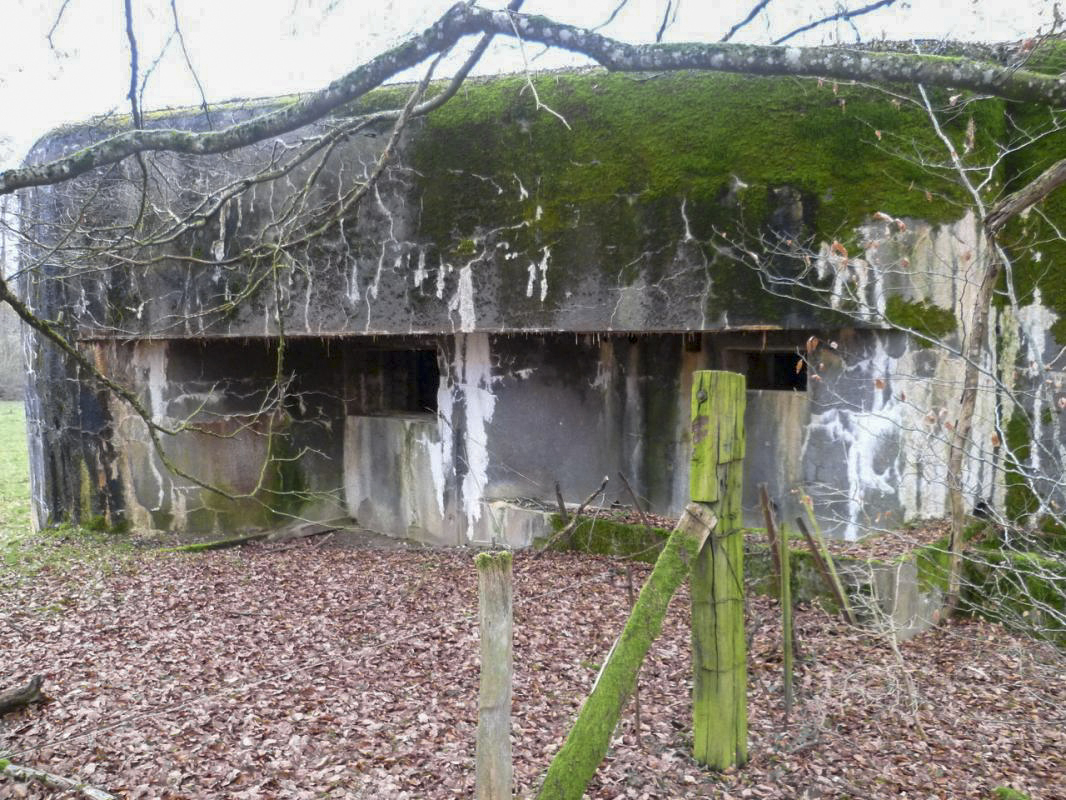 Ligne Maginot - STG 14 - MC15B - MC10 - (Casemate d'infanterie - double) - Créneau pour canon et pour mitrailleuse du côté gauche  - AsH