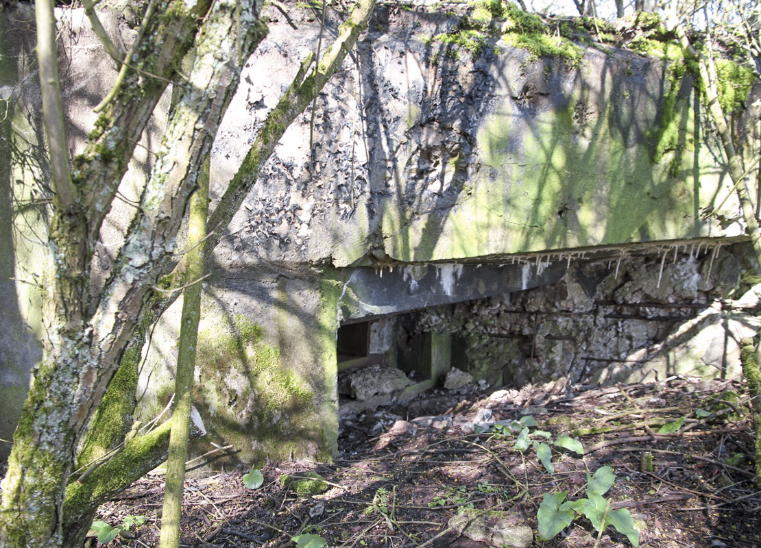 Ligne Maginot - MISTBERG 2 - (Blockhaus pour arme infanterie) - Le créneau - Alain Perouffe