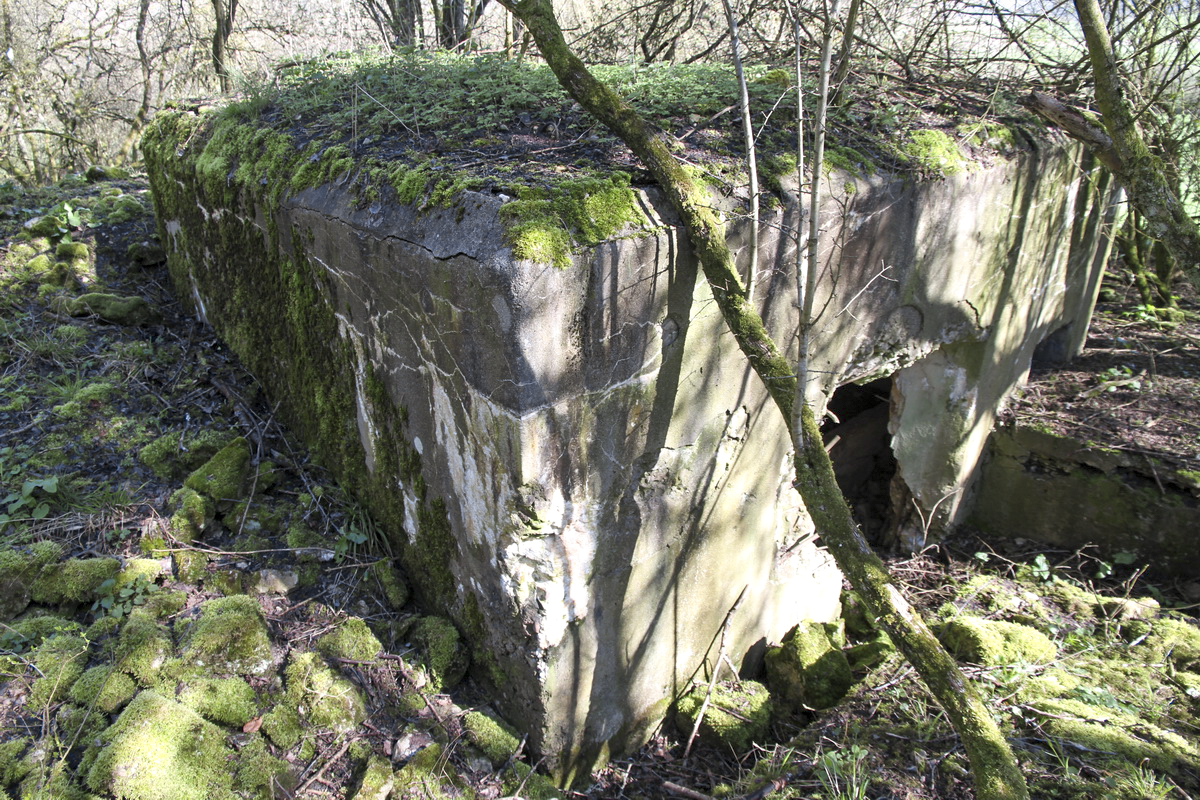 Ligne Maginot - MISTBERG 2 - (Blockhaus pour arme infanterie) -  - Alain Perouffe