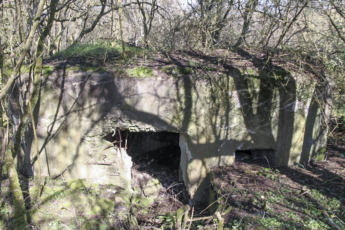Ligne Maginot - MISTBERG 2 - (Blockhaus pour arme infanterie) - L'entrée - Alain Perouffe