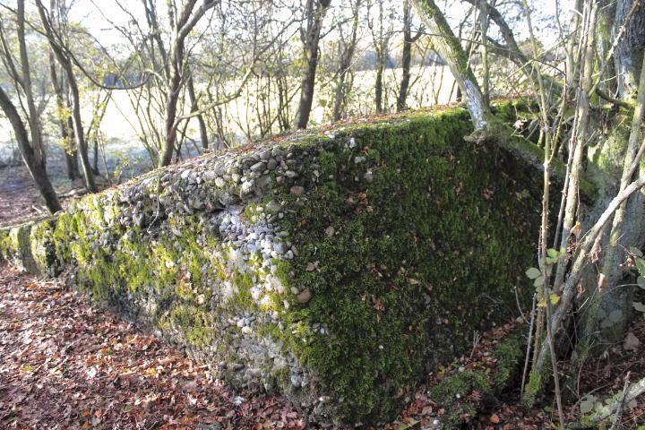 Ligne Maginot - MISTBERG 5 - (Blockhaus de type indéterminé) -  - jin jac