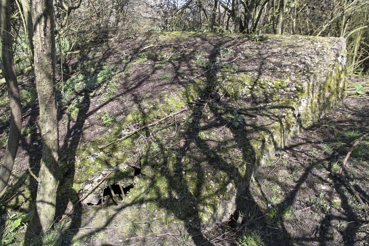 Ligne Maginot - MISTBERG 5 - (Blockhaus de type indéterminé) -  - Alain Perouffe