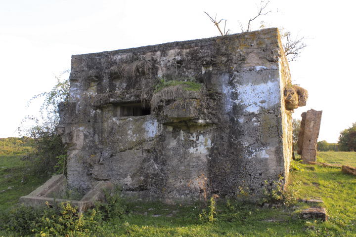 Ligne Maginot - MUEHLGEWANN - (Blockhaus de type indeterminé) -  - jin jac