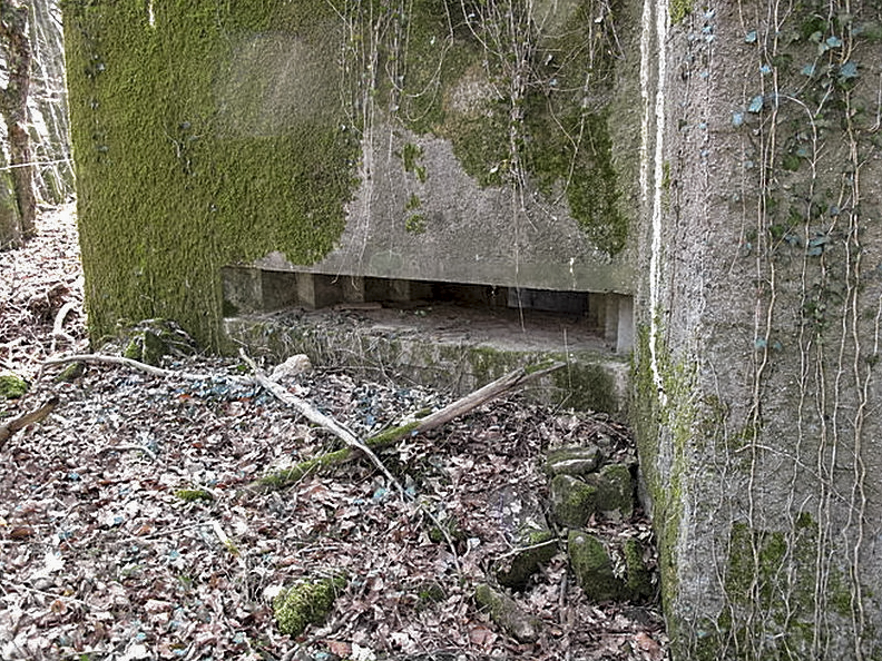 Ligne Maginot - NONNENWALD 15 - (Blockhaus pour canon) -  - Sylvie Laure LAMBERT