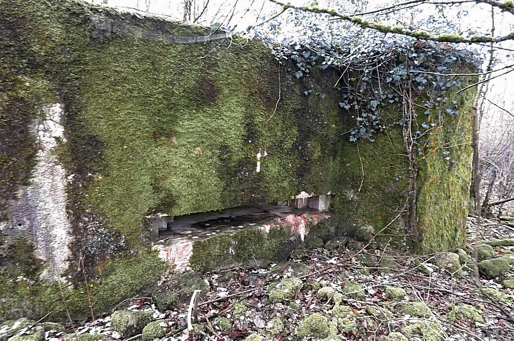 Ligne Maginot - NONNENWALD 15 - (Blockhaus pour canon) -  - Sylvie Laure LAMBERT