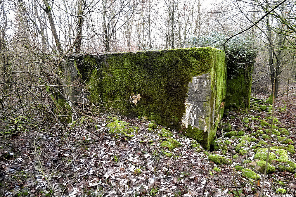 Ligne Maginot - NONNENWALD 15 - (Blockhaus pour canon) -  - Sylvie Laure LAMBERT