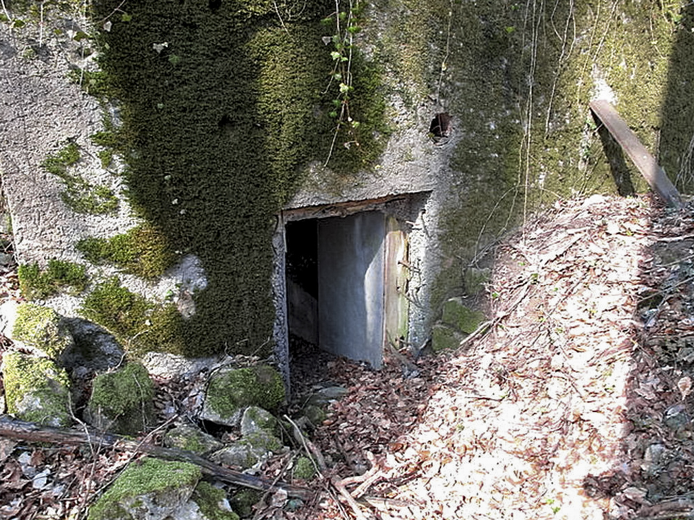 Ligne Maginot - NONNENWALD 15 - (Blockhaus pour canon) - L'entrée de personnel - Sylvie Laure LAMBERT