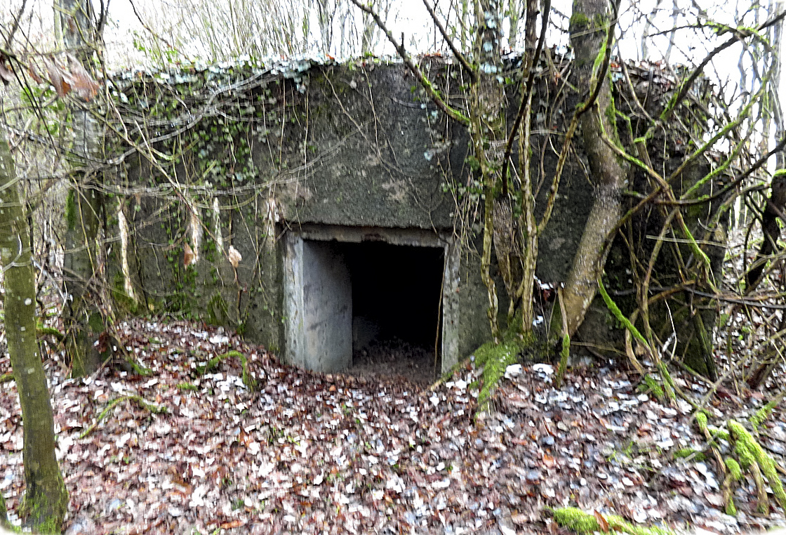 Ligne Maginot - NONNENWALD 15 - (Blockhaus pour canon) - L'entrée du matériel - Sylvie Laure LAMBERT