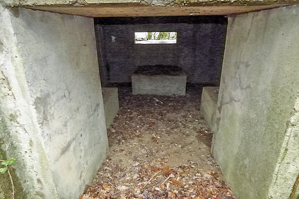 Ligne Maginot - NONNENWALD 15 - (Blockhaus pour canon) -  - Sylvie Laure LAMBERT