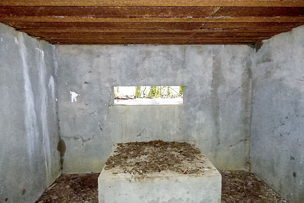 Ligne Maginot - NONNENWALD 15 - (Blockhaus pour canon) -  - Sylvie Laure LAMBERT