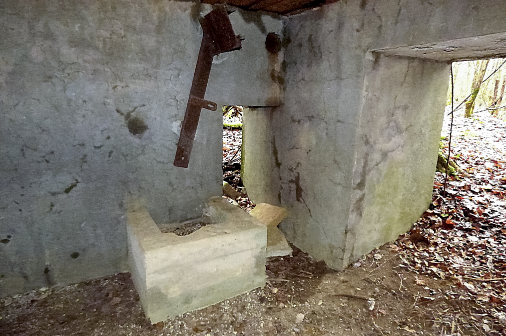 Ligne Maginot - NONNENWALD 15 - (Blockhaus pour canon) - Les entrées - Sylvie Laure LAMBERT