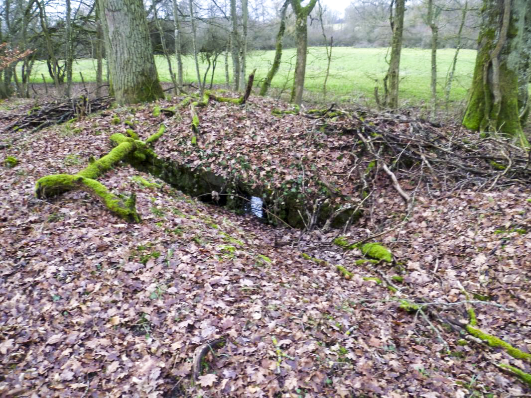 Ligne Maginot - NONNENWALD 14 - (Blockhaus pour arme infanterie) - Le toit est partiellement effondré et l'intérieur est inondé - AsH