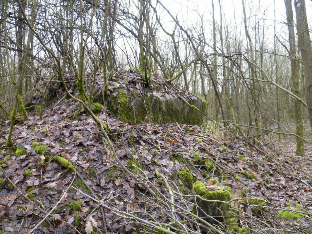 Ligne Maginot - NONNENWALD 11BIS - (Blockhaus de type indéterminé) - Vue extérieur - AsH