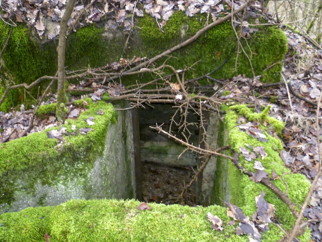 Ligne Maginot - NONNENWALD 11BIS - (Blockhaus de type indéterminé) -  Vue de l'entrée - AsH
