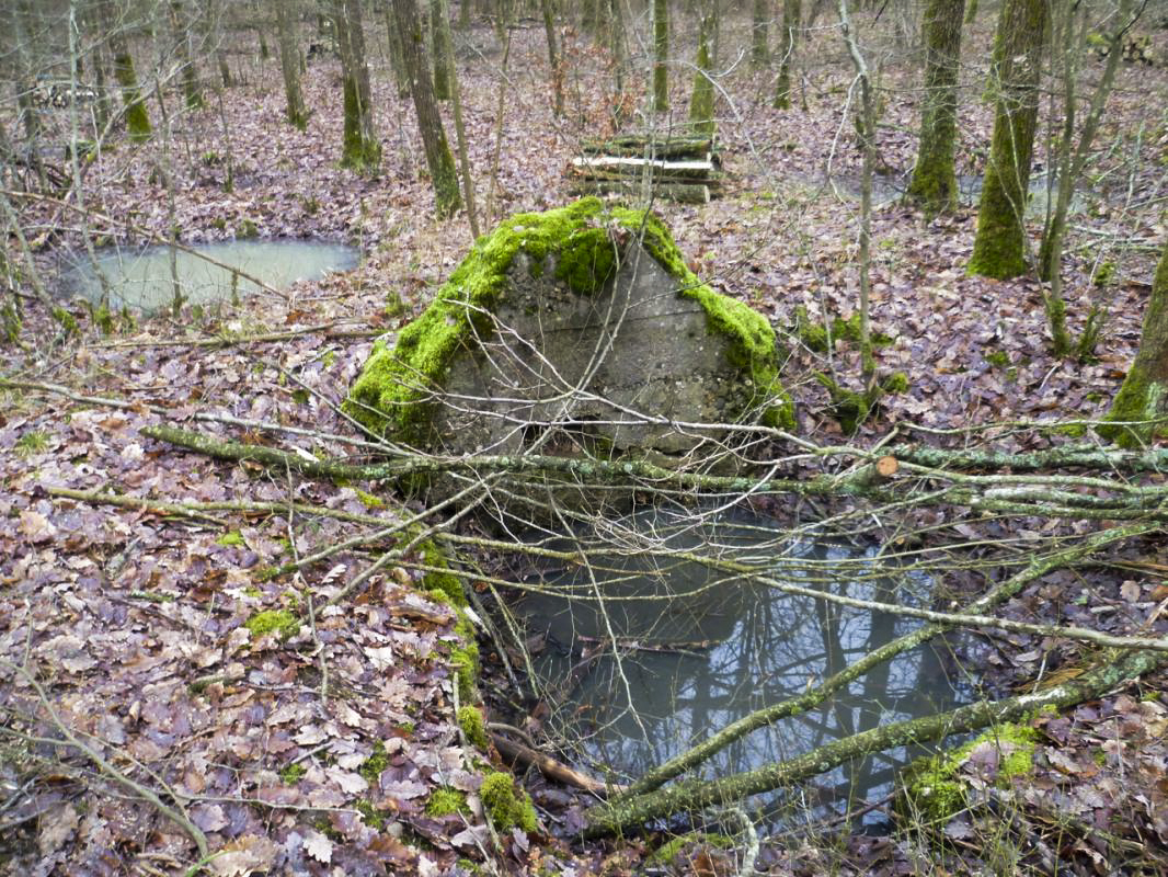 Ligne Maginot - NONNENWALD 11BIS - (Blockhaus de type indéterminé) - Environnement
Reste du petit ensemble - AsH
