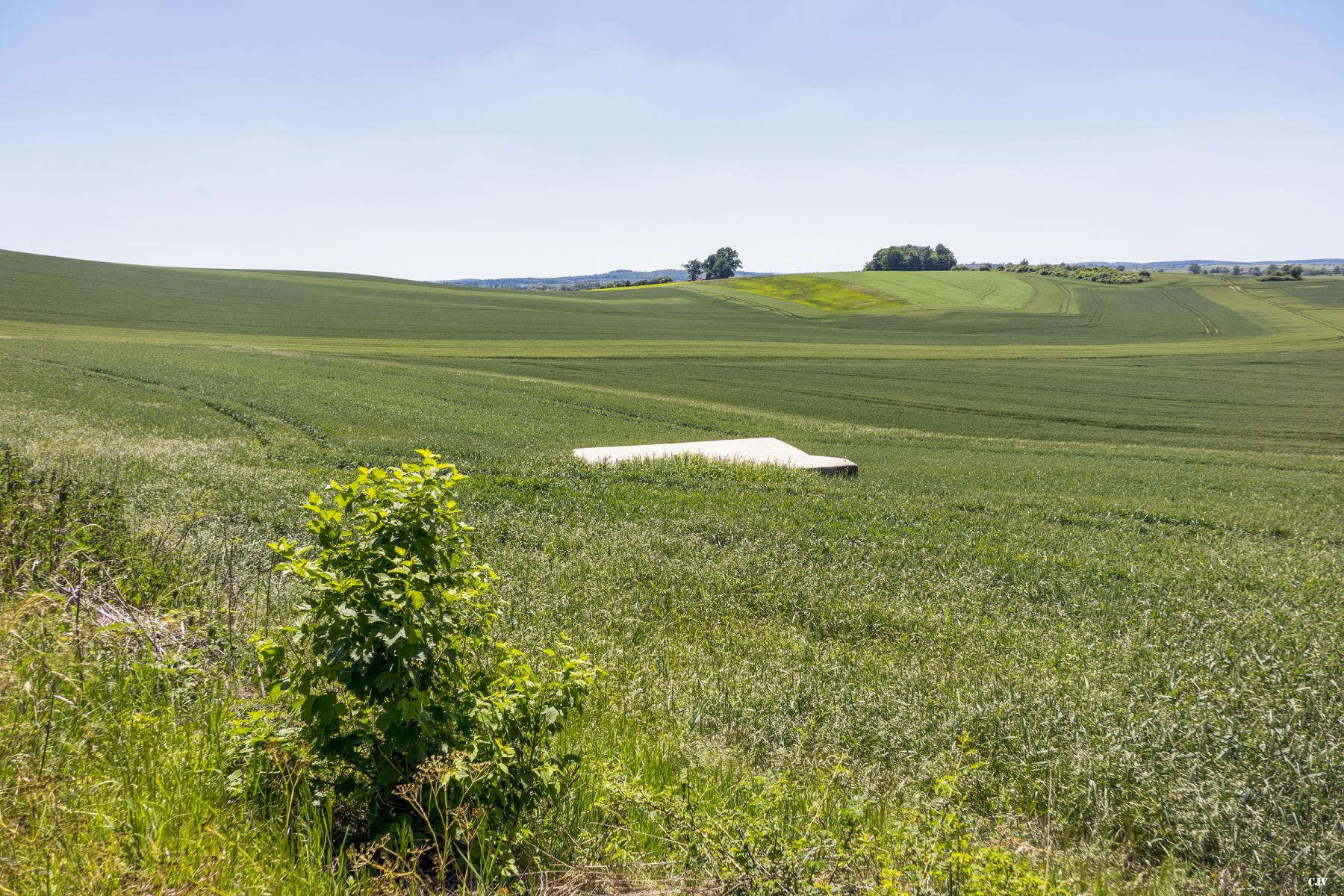 Ligne Maginot - PLATTENBUSCH - (Blockhaus pour arme infanterie) -  - Lia VERMEULEN