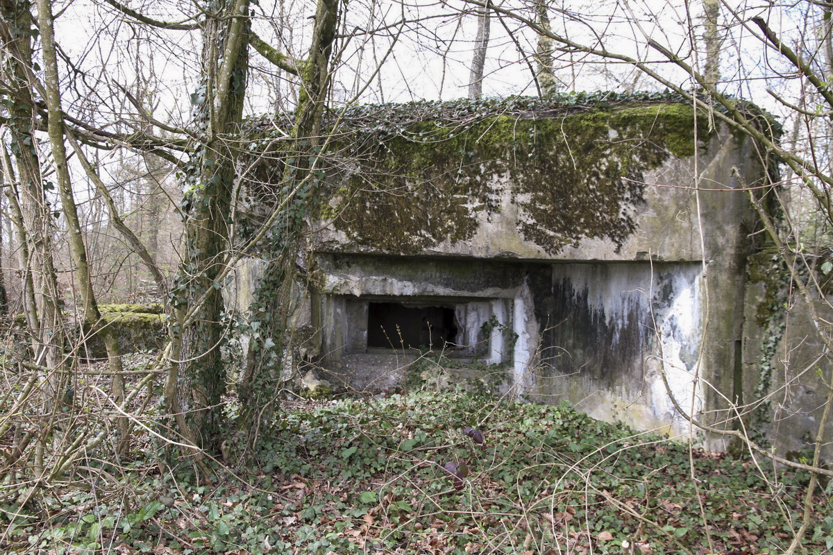 Ligne Maginot - RESERVOIR DE FREMESTROFF - (Blockhaus pour arme infanterie) -  - Alain Perouffe