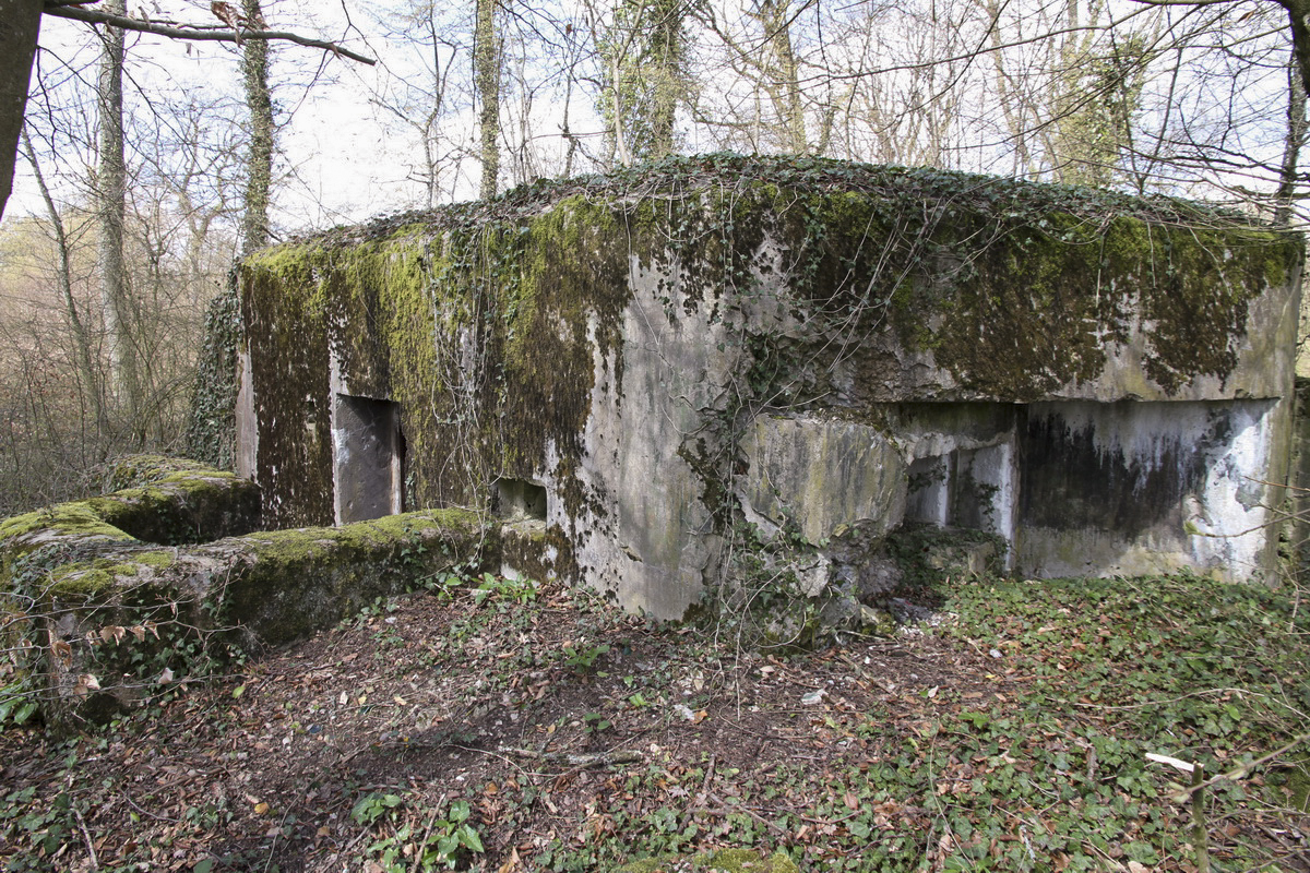 Ligne Maginot - RESERVOIR DE FREMESTROFF - (Blockhaus pour arme infanterie) -  - Alain Perouffe