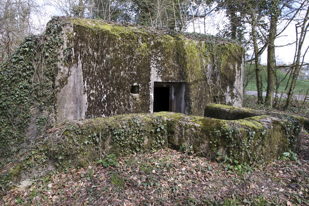 Ligne Maginot - RESERVOIR DE FREMESTROFF - (Blockhaus pour arme infanterie) -  - Alain Perouffe