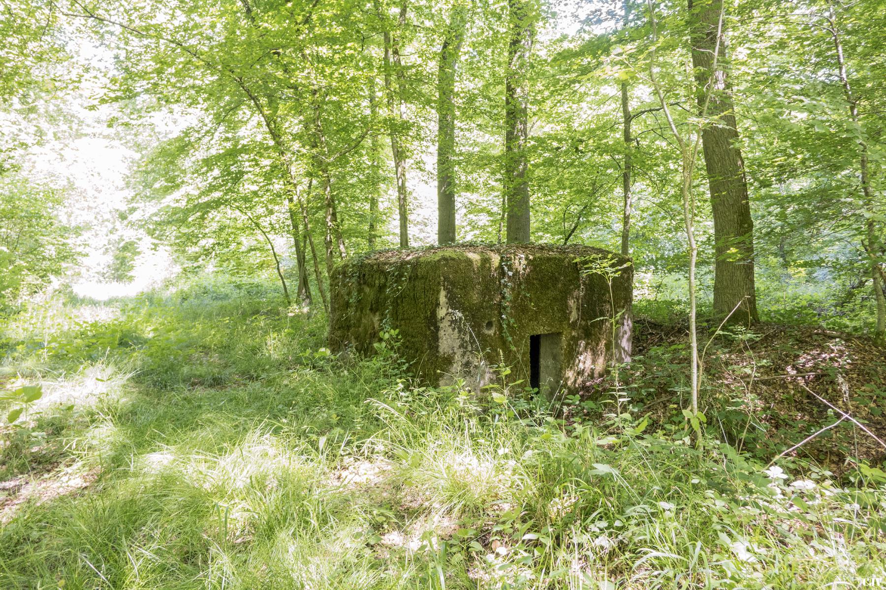 Ligne Maginot - UBERNIED 1 - (Blockhaus pour arme infanterie) -  - Lia VERMEULEN