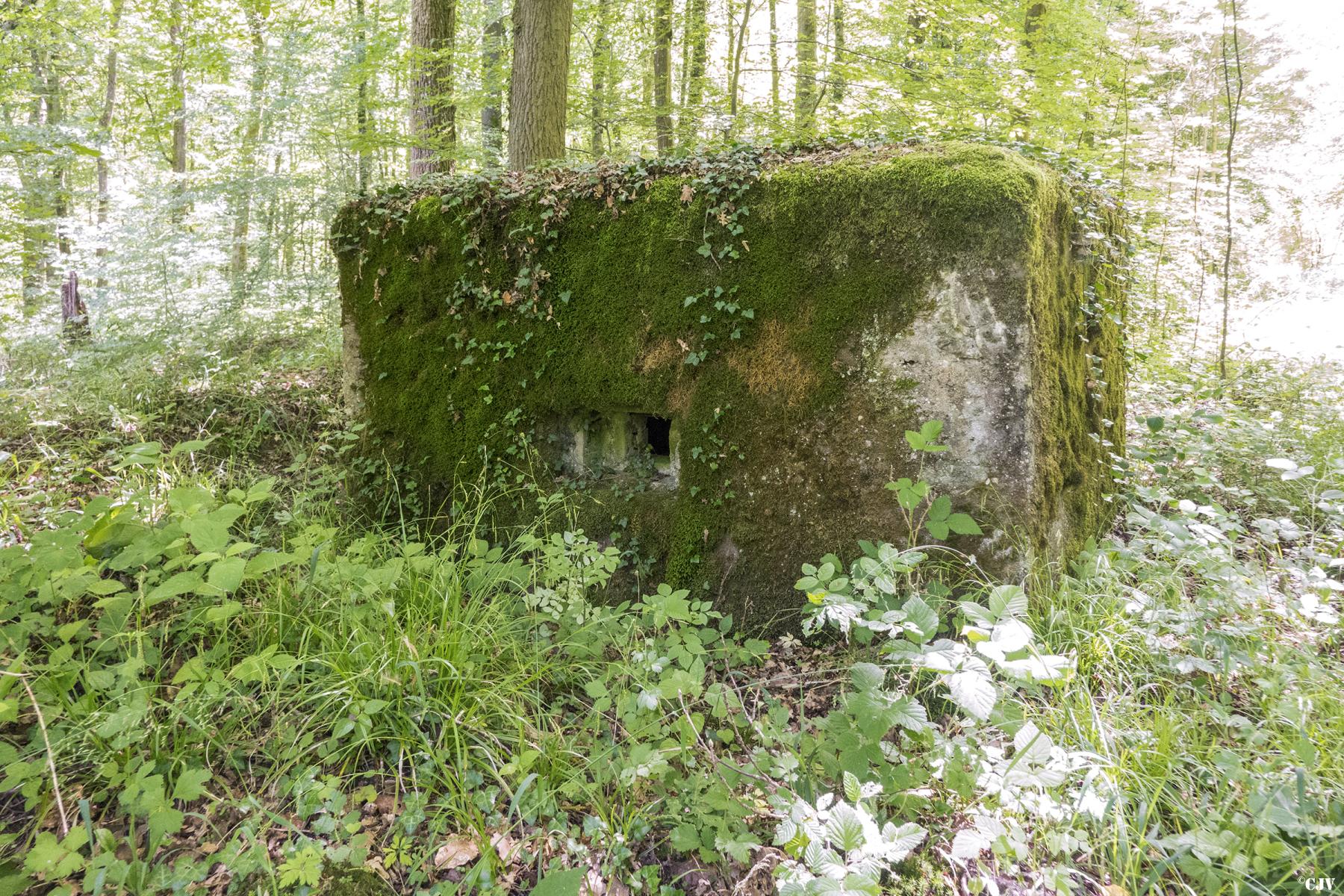 Ligne Maginot - UBERNIED 1 - (Blockhaus pour arme infanterie) -  - Lia VERMEULEN