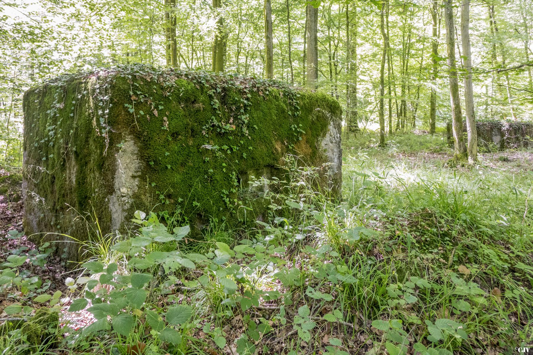 Ligne Maginot - UBERNIED 1 - (Blockhaus pour arme infanterie) - Les blockhaus Ubernied 1 et 2 - Lia VERMEULEN